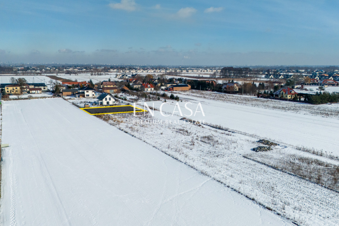Plot Sale Laszczki Cytrynowa 9